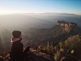 Guía Definitiva para Disfrutar la Sierra de Madrid con tu Perro: Rutas y Consejos sierra de madrid con perro