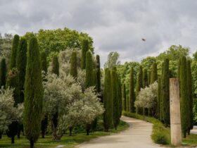 Descubre los Mejores Refugios en la Sierra de Madrid: Guía Completa sierra de madrid refugios