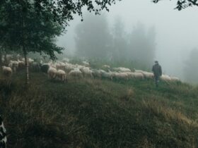 Descubre la Sierra de Madrid: Guía Completa de Turismo Rural y Aventura sierra de madrid turismo rural