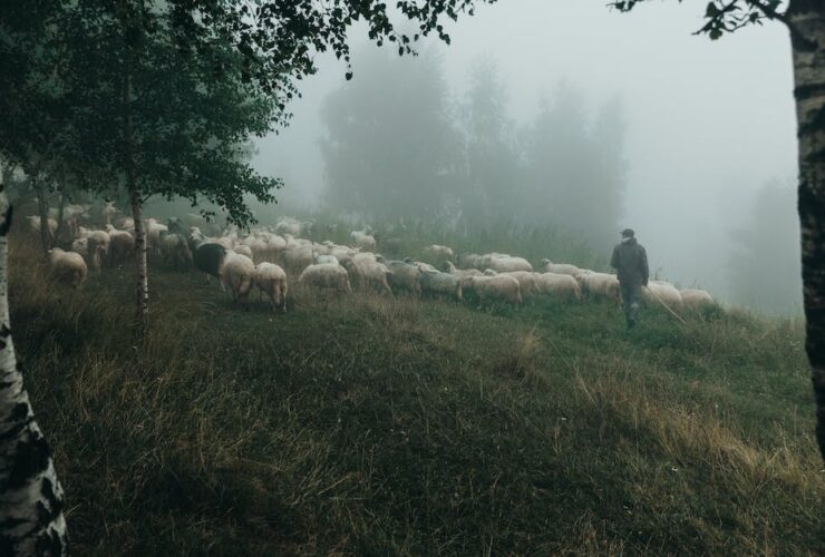 Descubre la Sierra de Madrid: Guía Completa de Turismo Rural y Aventura sierra de madrid turismo rural