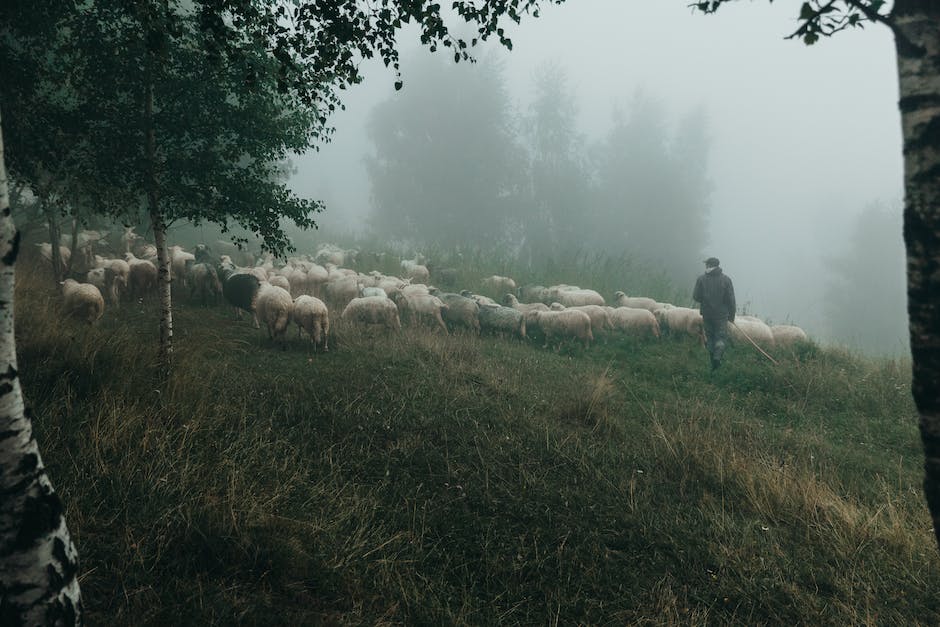 Descubre la Sierra de Madrid: Guía Completa de Turismo Rural y Aventura sierra de madrid turismo rural