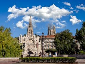 Las 10 Mejores Tiendas en Burgos: Guía de Compras Única para 2022 tiendas burgos