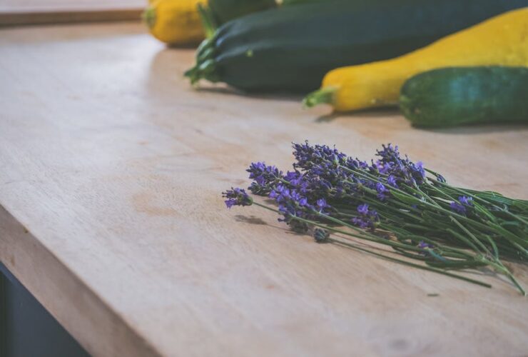Desentrañando los Secretos de Salud: 10 Beneficios Increíbles de Comer Zucchini beneficios de zucchini