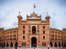 Dónde Comprar los Mejores Sabores de la Sierra de Madrid: Guía Completa sabores sierra de madrid donde comprar
