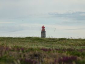 tiendas de ropa en soria