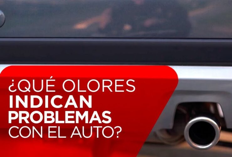 Descubre por qué el aroma a coche nuevo se desvanece Descubre por qué el aroma a coche nuevo se desvanece