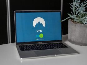 pexels stefan coders 1019774 2064586