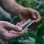 unnamed 2025 10 02T203306.970