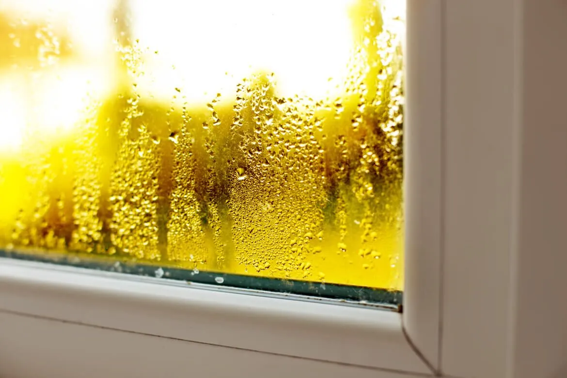 Prevención de humedades en épocas de lluvia: consejos para mantener tu casa seca unnamed 2025 10 28T133145.669