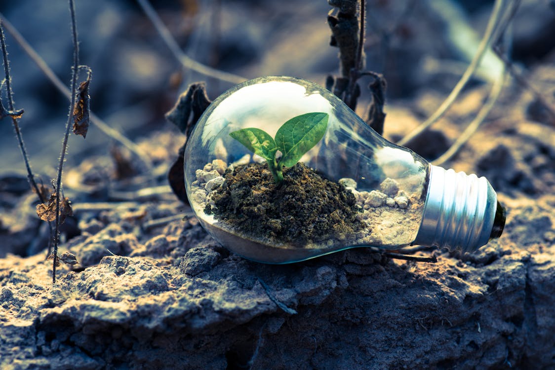 Aire puro y salud respiratoria: por qué la Sierra de Madrid es el mejor destino para tus pulmones Persona respirando aire puro en la montaña