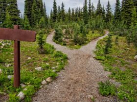 Las mejores rutas de senderismo en la Sierra de Madrid para todos los niveles Ruta de senderismo en la Sierra de Madrid con vistas a las montañas