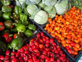Productos locales y mercados de la Sierra de Madrid: guía para comprar auténtico Puesto de mercado con productos locales y artesanales