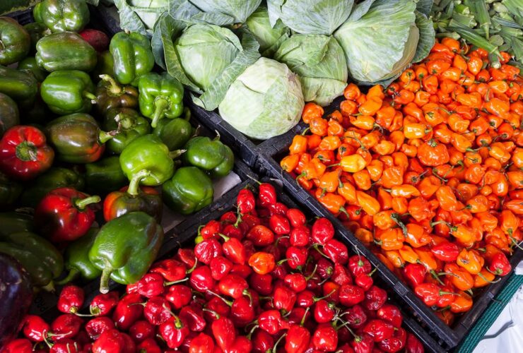 Productos locales y mercados de la Sierra de Madrid: guía para comprar auténtico Puesto de mercado con productos locales y artesanales