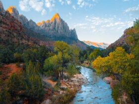 Slow life en la Sierra de Madrid: el arte de vivir despacio en un mundo acelerado Estilo de vida tranquilo en la naturaleza de montaña