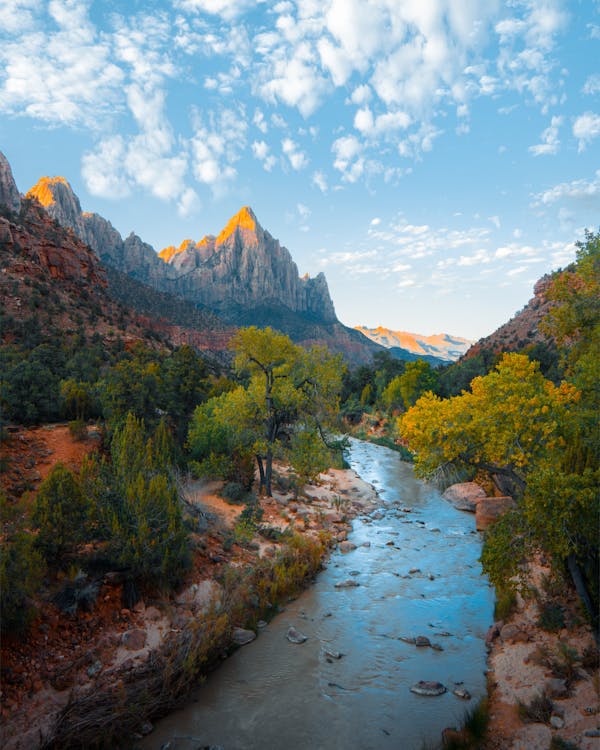Slow life en la Sierra de Madrid: el arte de vivir despacio en un mundo acelerado Estilo de vida tranquilo en la naturaleza de montaña